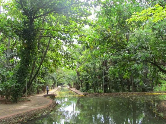 bosque-dos-buritis-goiania-go